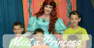 meet a Disney princess